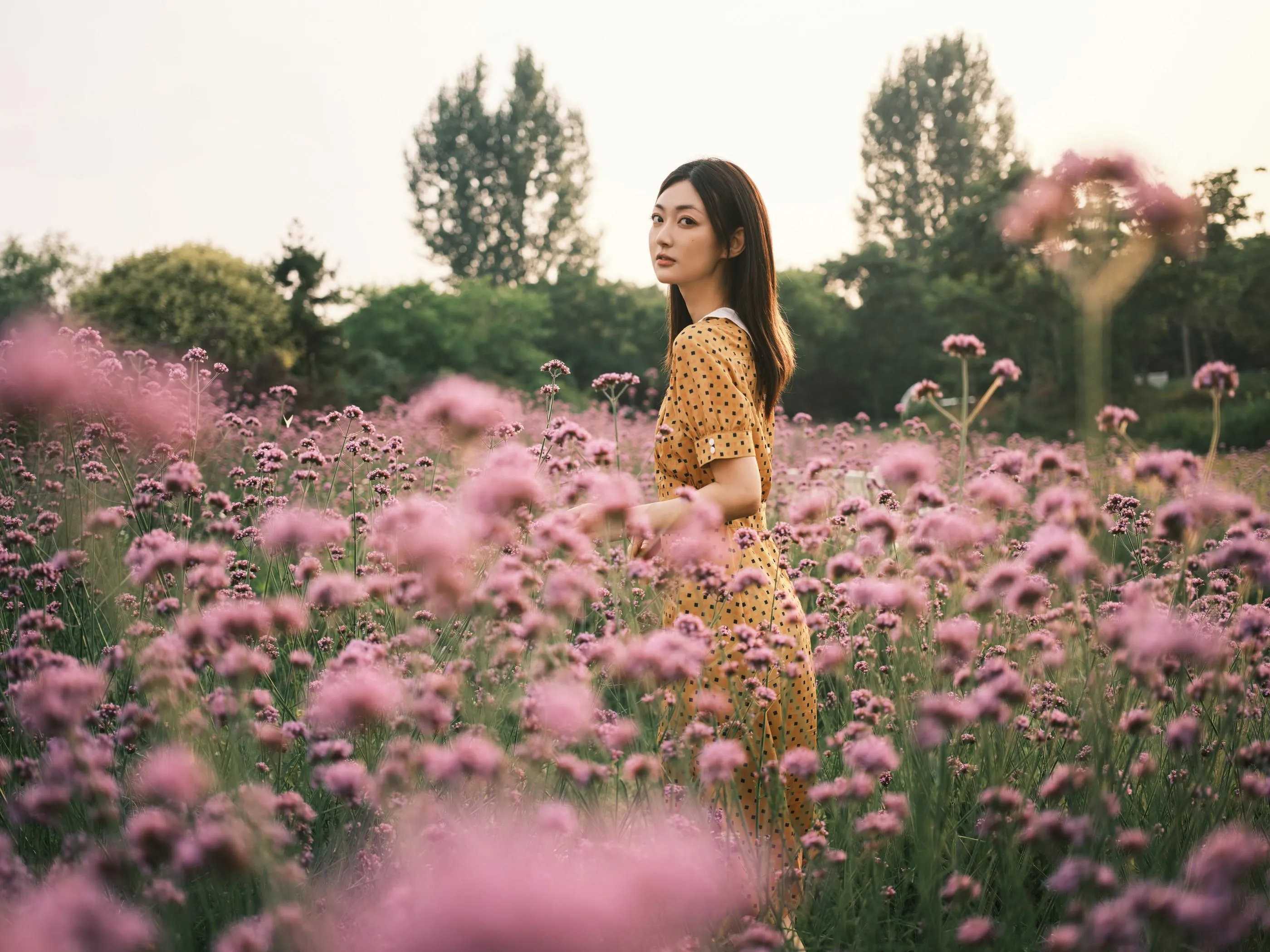 [YITUYU艺图语]2022.08.08 硫华菊柳叶马鞭草-是夏天的味道呀！ 飞鸟咕咕- [44P]插图6